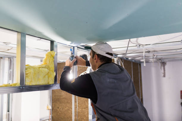 Best Residential Insulation in Shamrock, TX